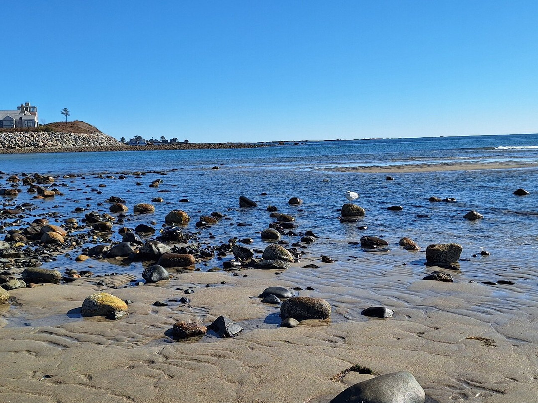 Parsons Beach景点图片