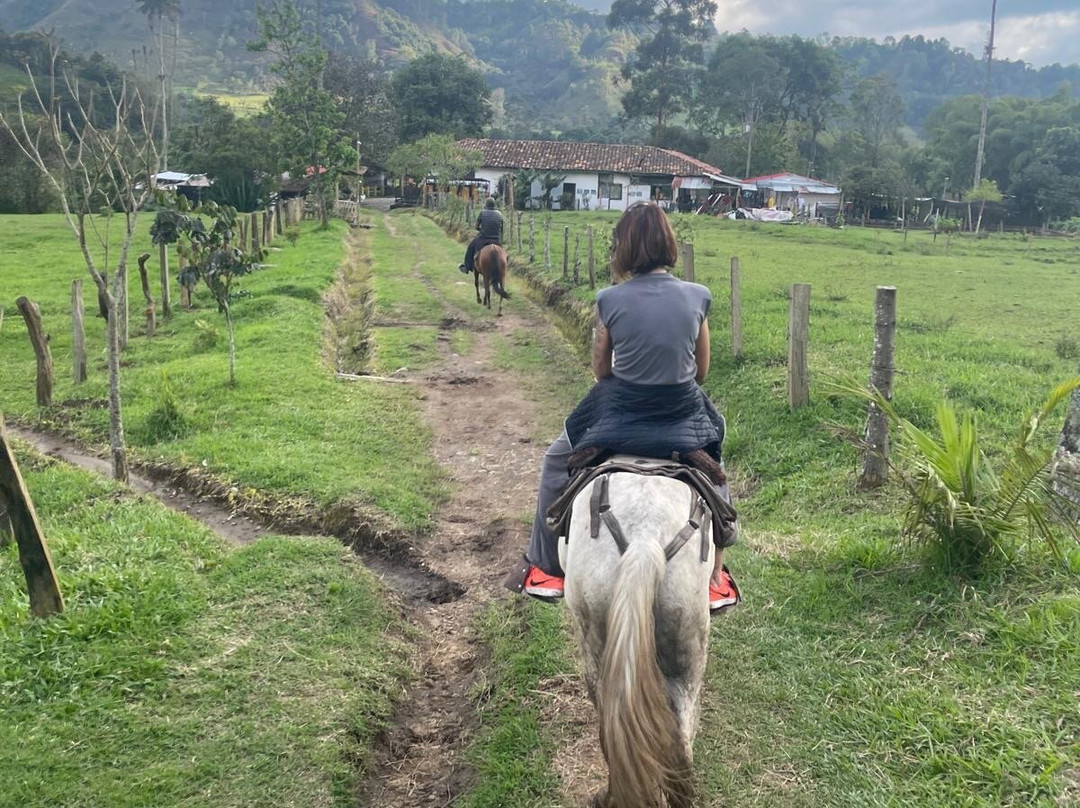 Eco Hotel La Cabana主图