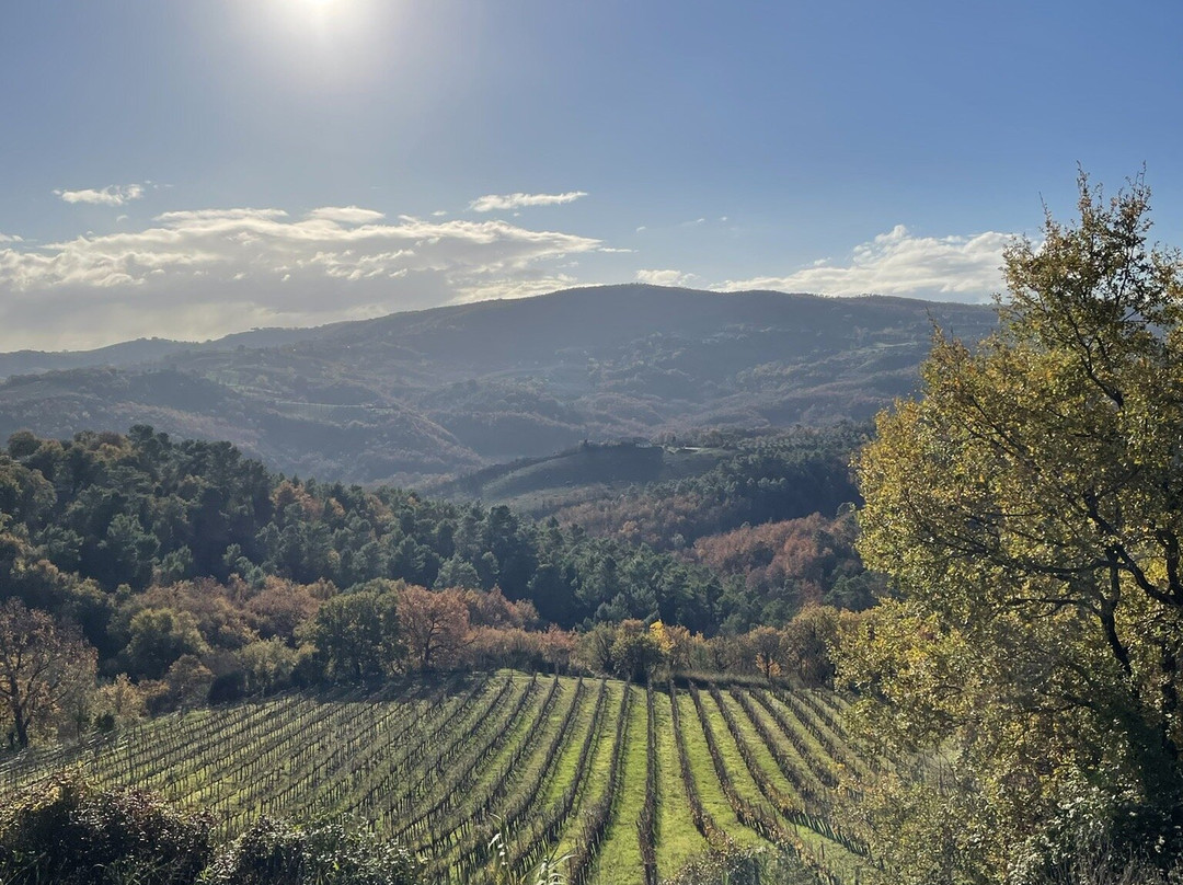 Fattoria di Monticello Cantina-San Venanzo必去景点