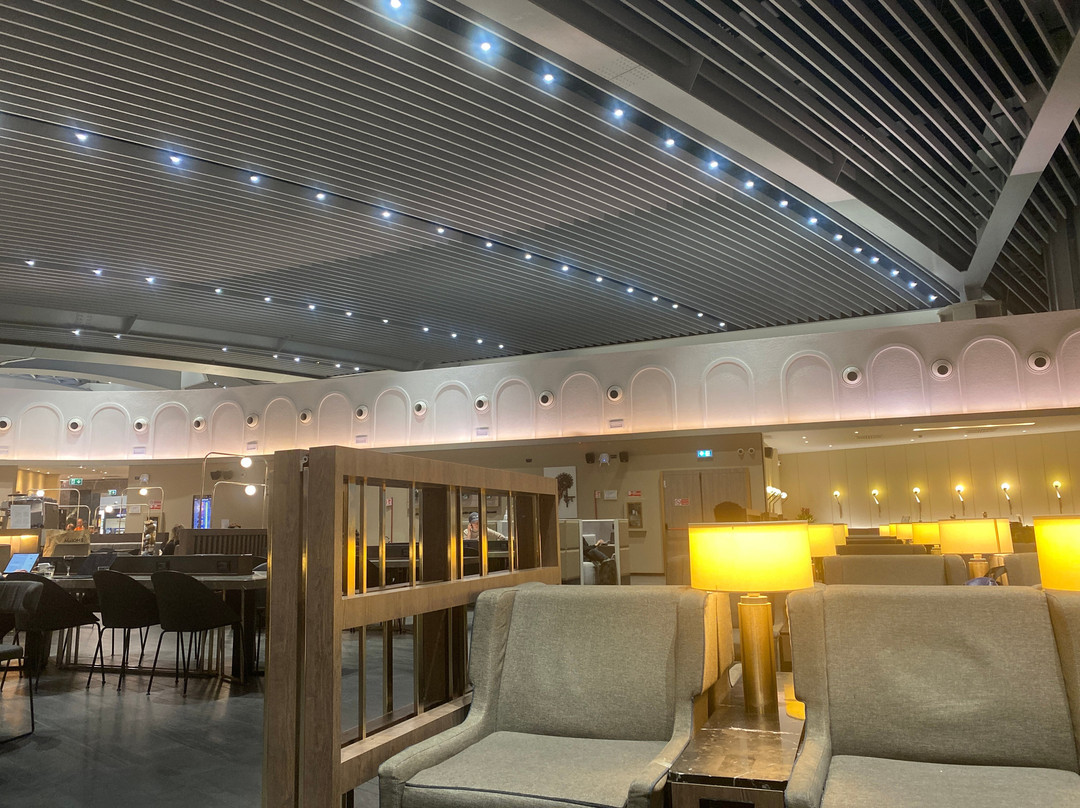 Plaza Premium Lounge (Schengen Area Departures Terminal 1)-菲乌米奇诺必去景点