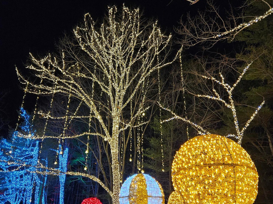 Tee Off at Mel's-Litchfield必去景点