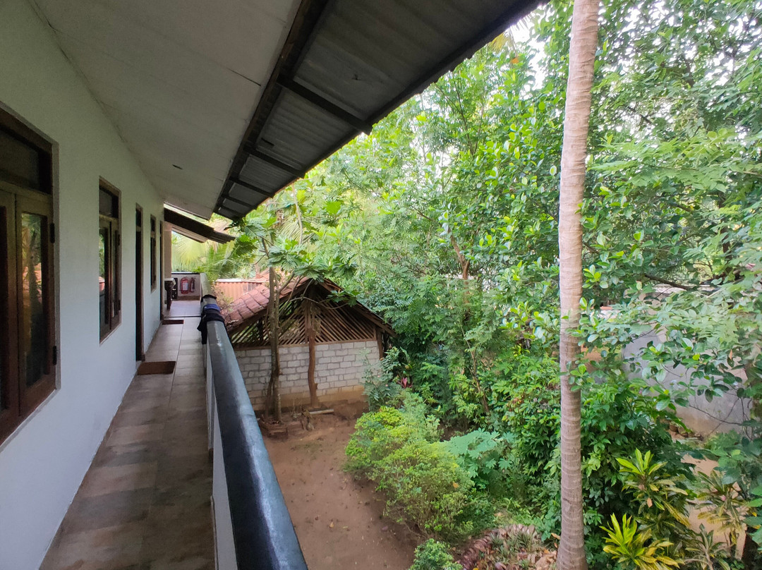 Wild View Resort主图