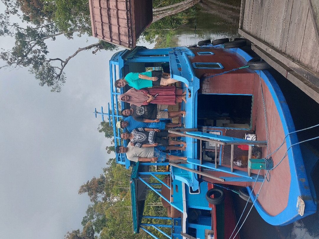 Orang Utan Kalimantan-Pangkalan Bun必去景点