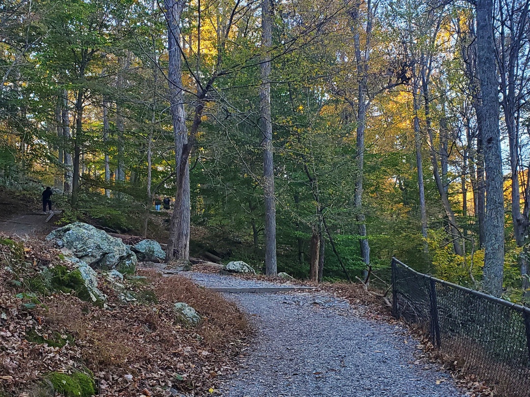 Cunningham Falls State Park-Thurmont必去景点