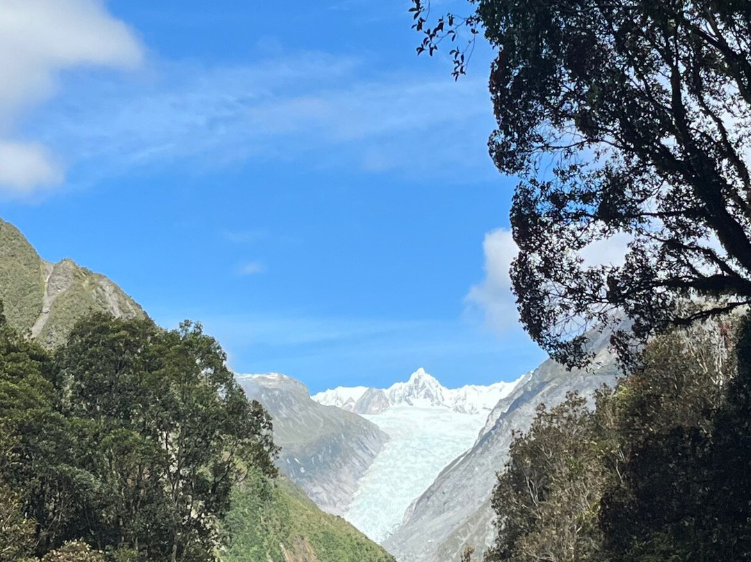 Fox Glacier South Side Walk景点图片