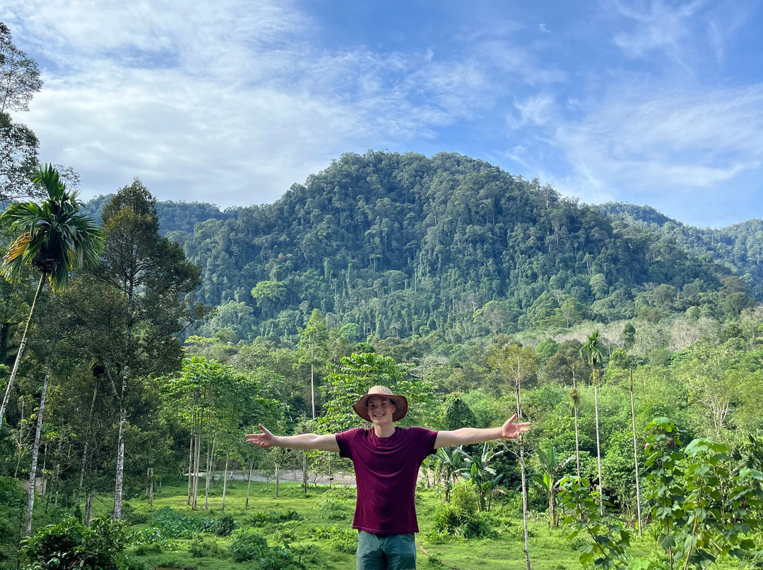 Orangutan Conservation Eco Tours Bukit Lawang-武吉拉旺必去景点