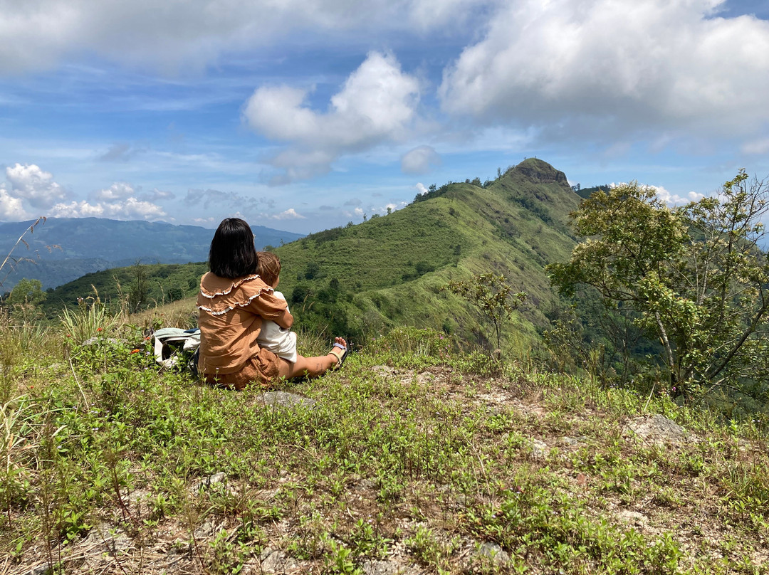 Narangala Mountainous Tourism With Robinson's Path