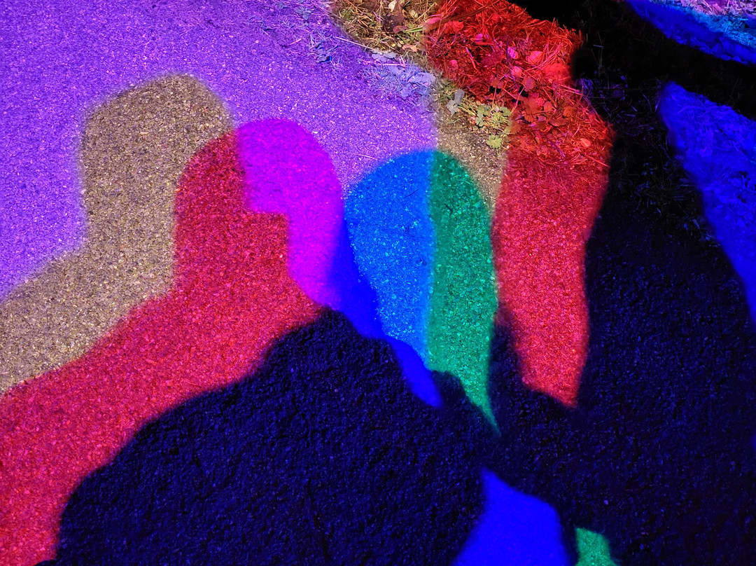 Bedgebury National Pinetum And Forest-Goudhurst必去景点