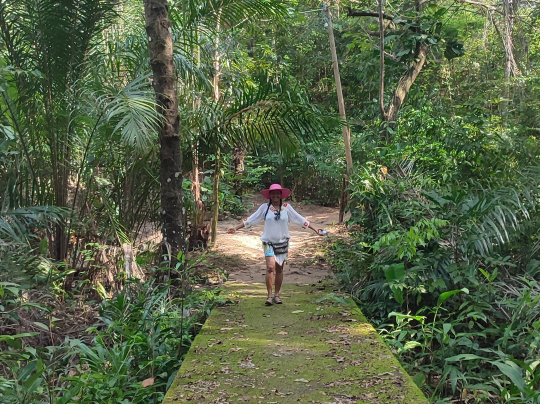 Velha Boipeba Beach-Ilha de Boipeba必去景点