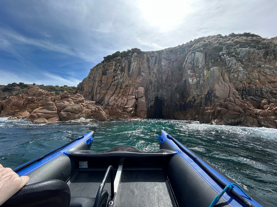 Ocean Adventures Phillip Island景点图片