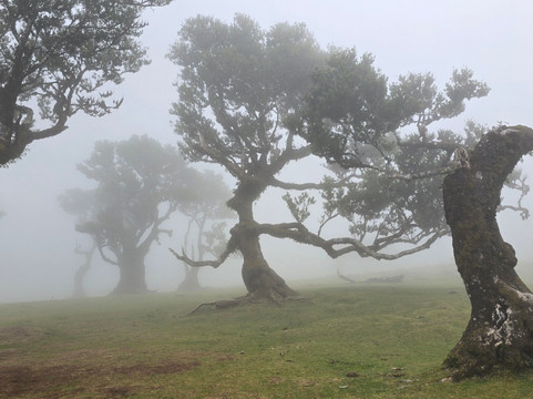 The Big Adventure Madeira-沙尔必去景点