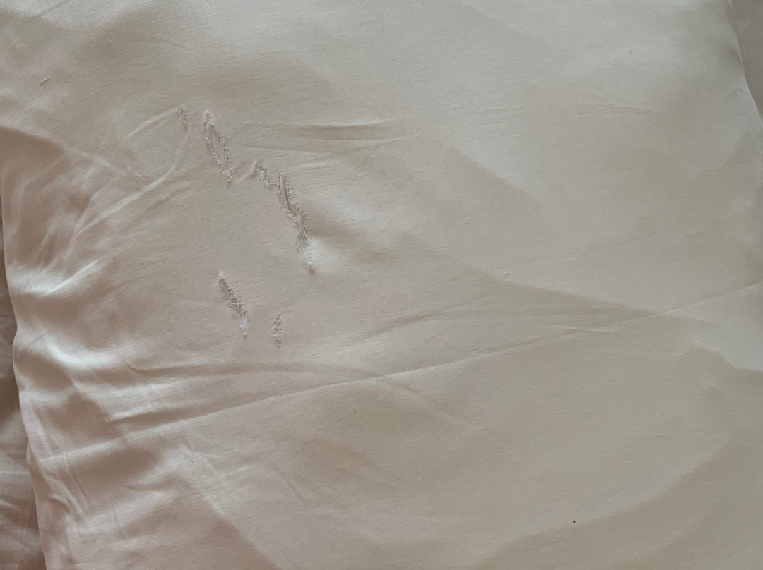 Bourbon Convention Hotel Santos主图