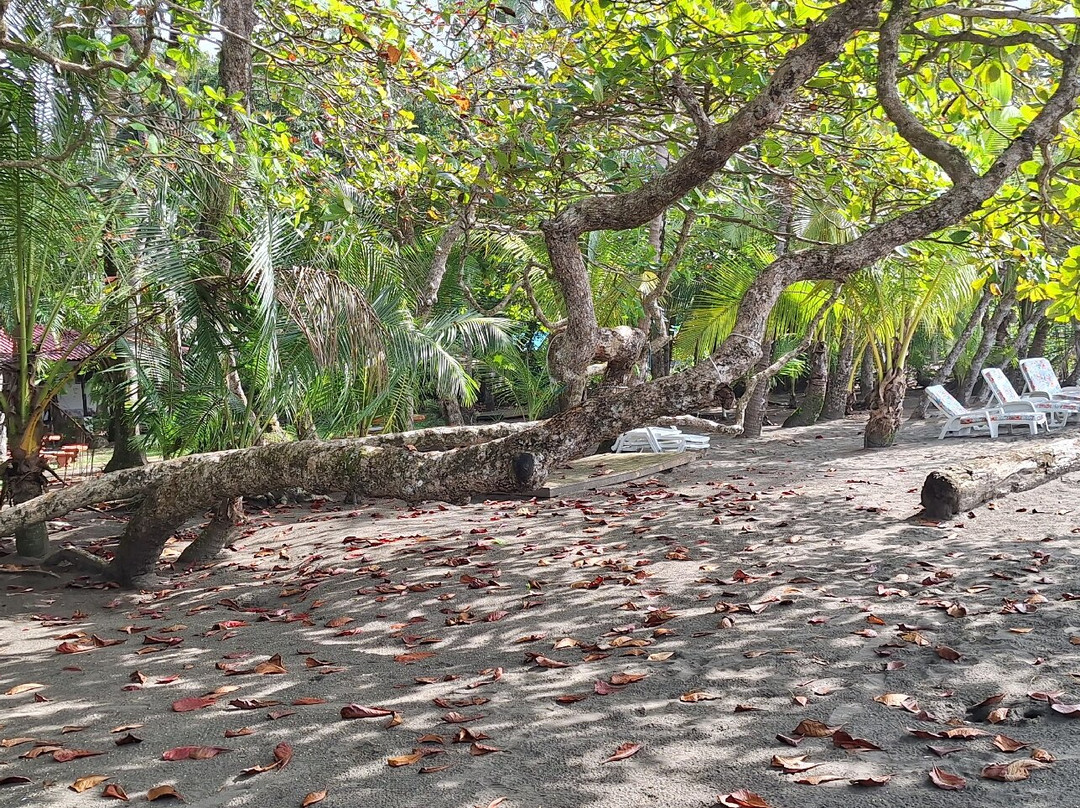 Dreamy Contentment主图