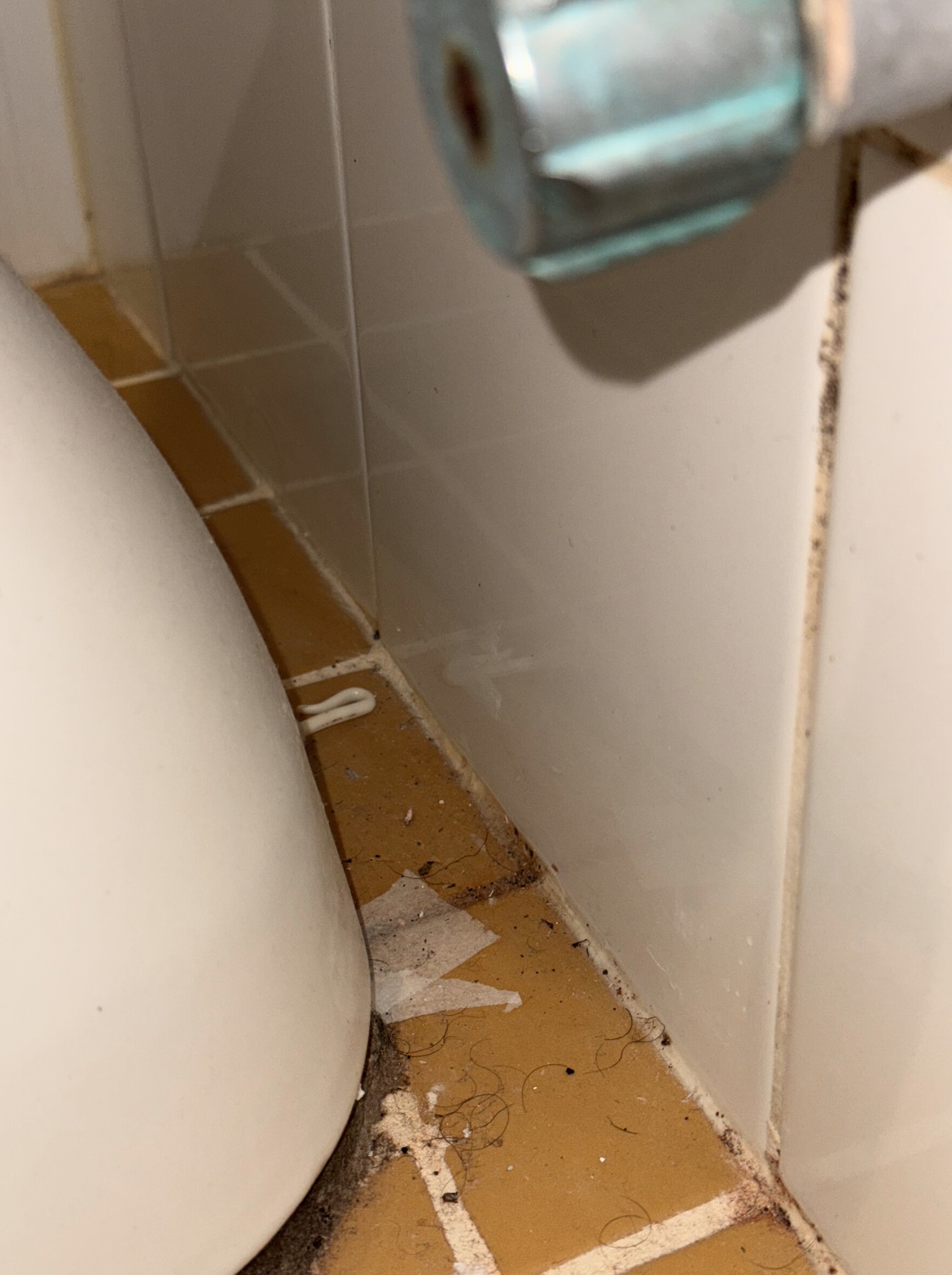 宜必思快捷戈斯福德酒店-官方