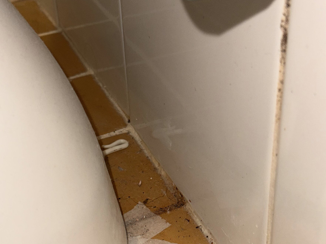 宜必思快捷戈斯福德酒店主图