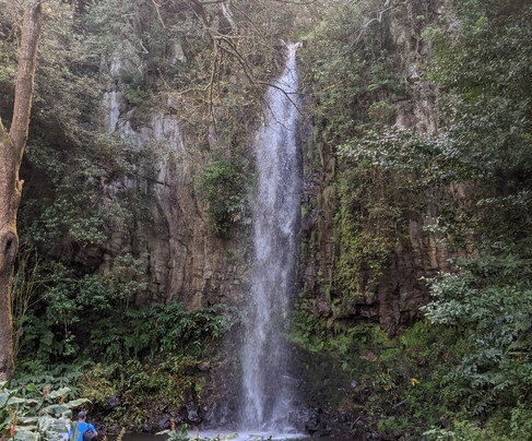 Madeira Insideout - Private 4x4 Jeep Tours-马德拉群岛必去景点