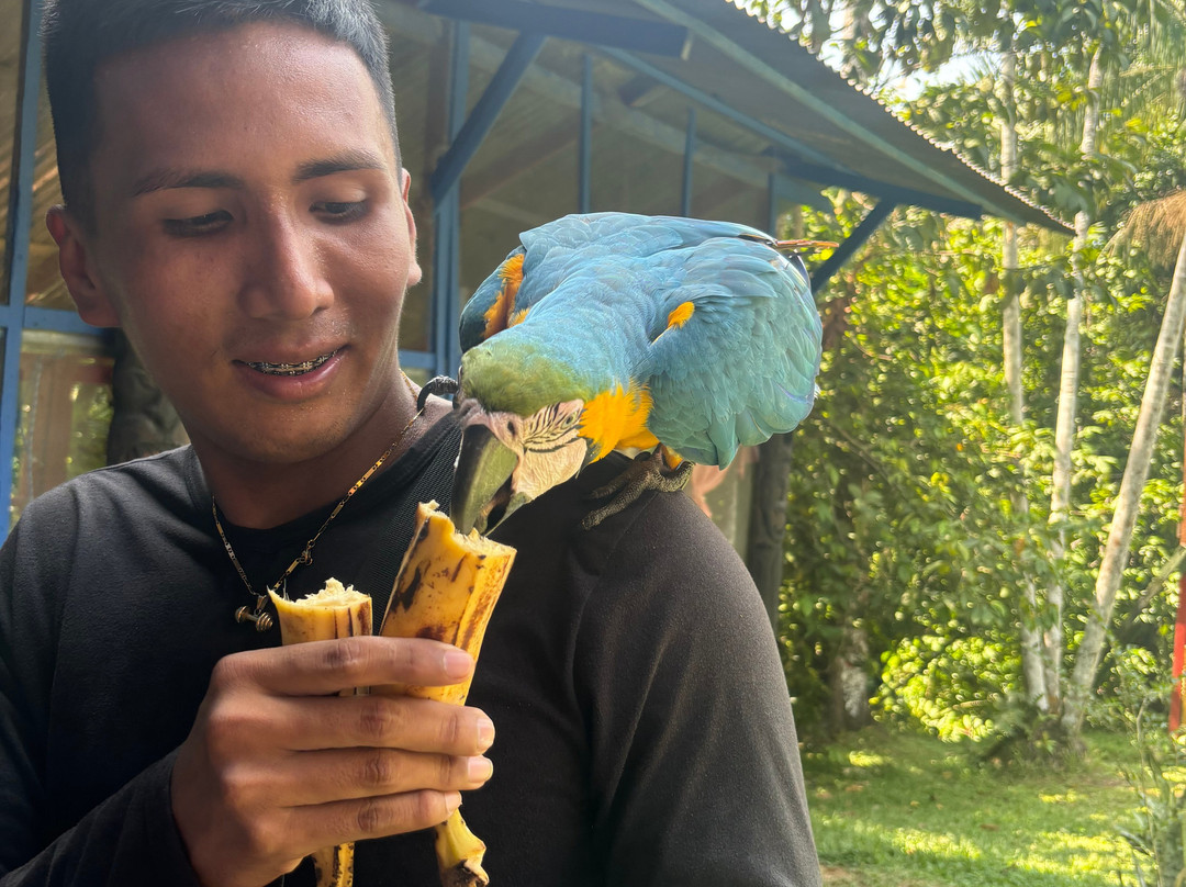 Amaselva Tours - Colombia Amazon景点图片