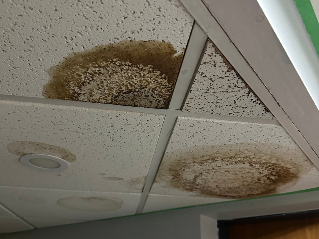 Travellers Inn Hanover主图