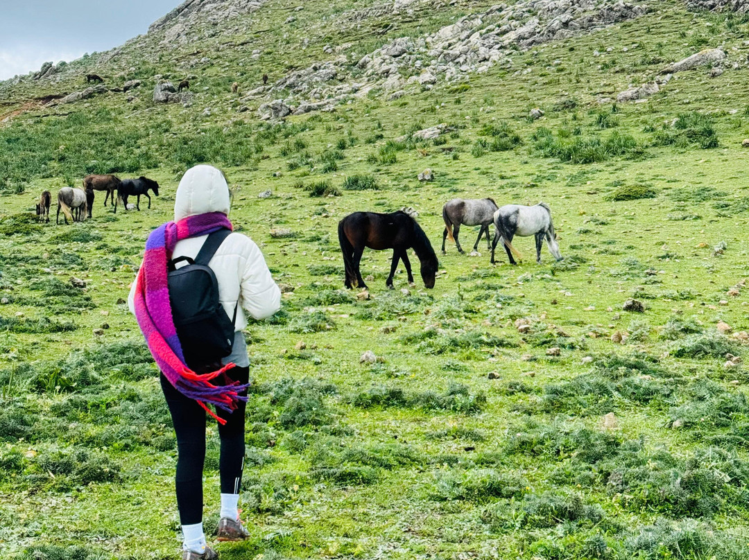 Amouddou Family-丹吉尔必去景点