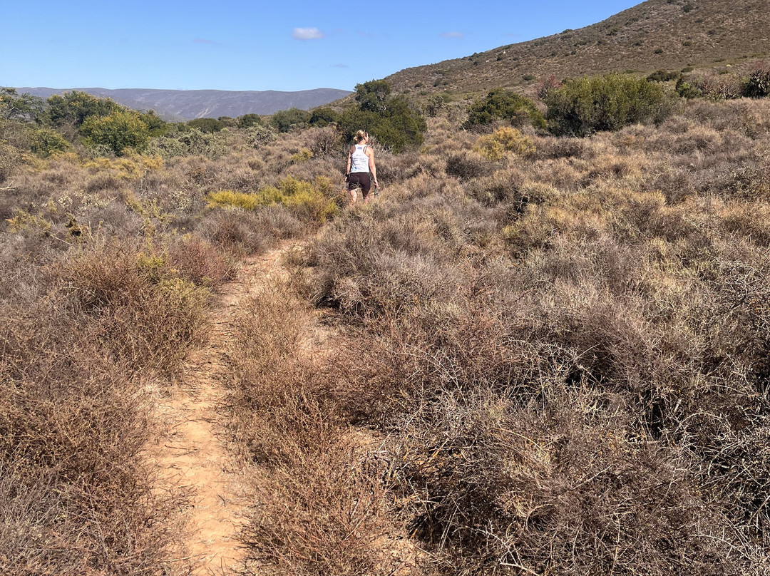 Vrolijkheid Nature Reserve-McGregor必去景点