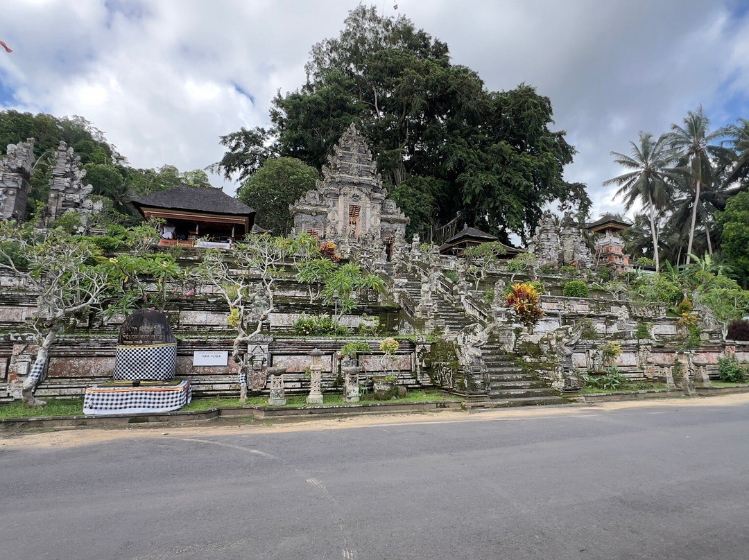 Bali Driver Package-Dangin Puri必去景点