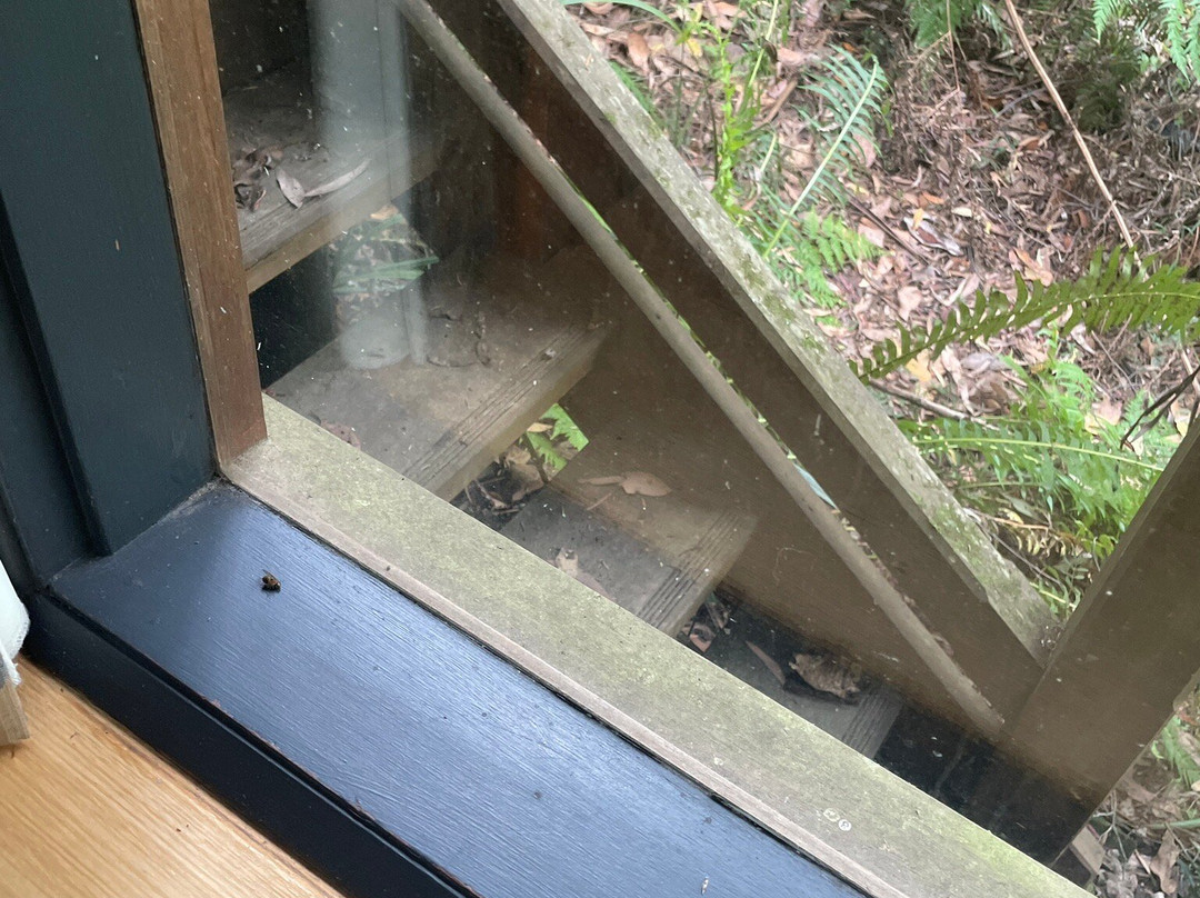 乌兰雨林休闲村主图