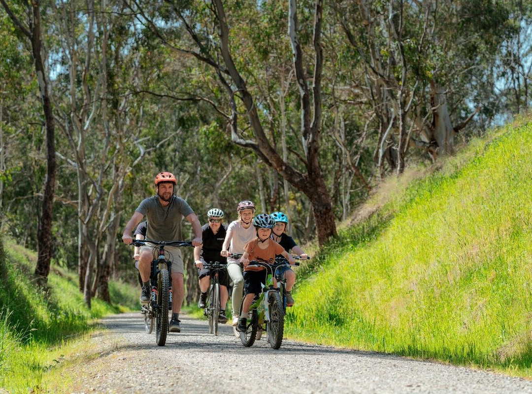Double Black Alpine-曼斯菲尔德必去景点