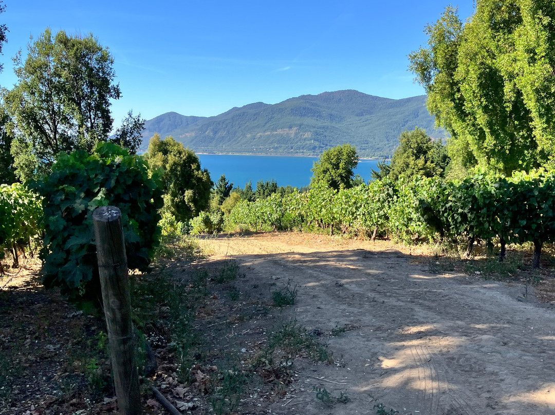 Experiencia Laberinto-Colbun必去景点