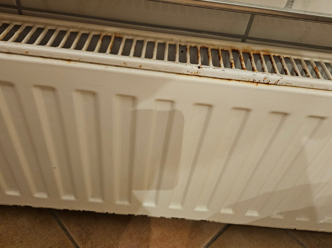 Vila Vita Burghotel Dinklage主图