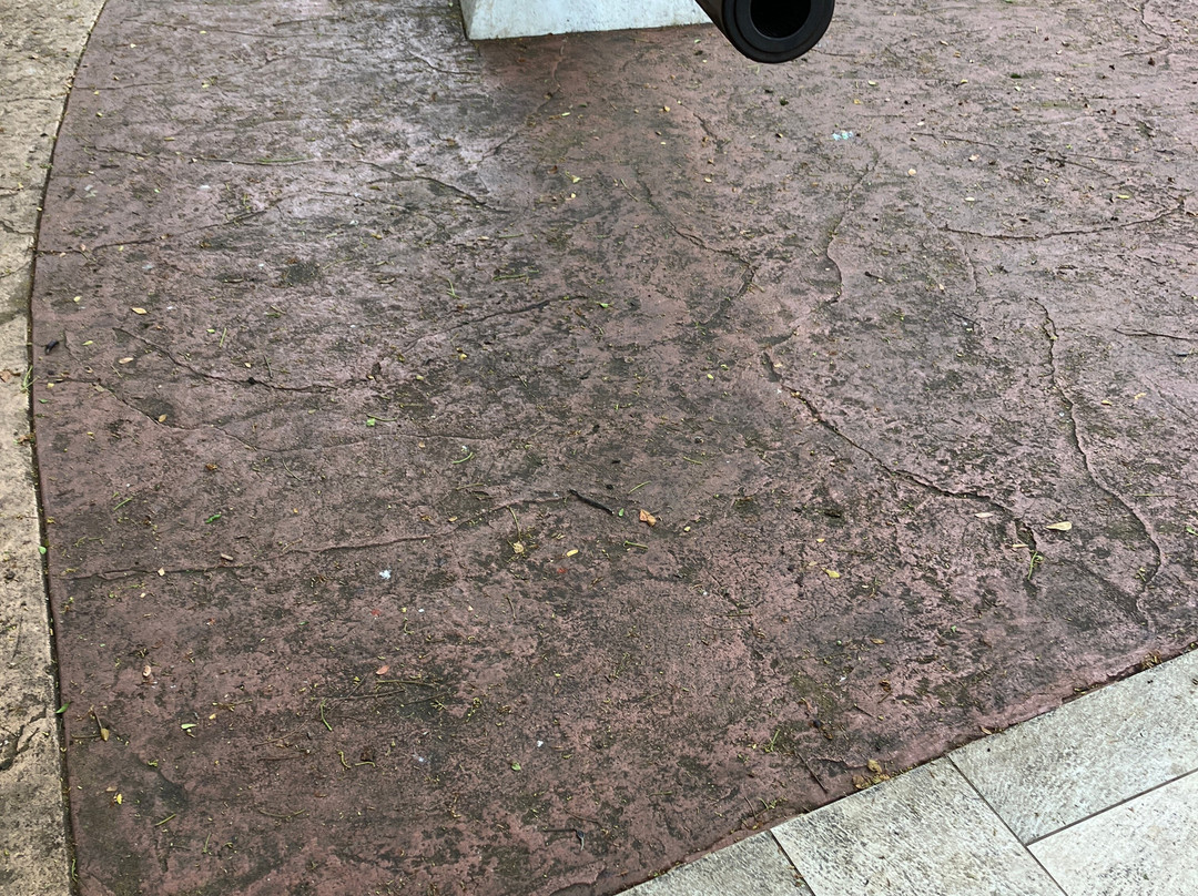 Bougainville Park景点图片