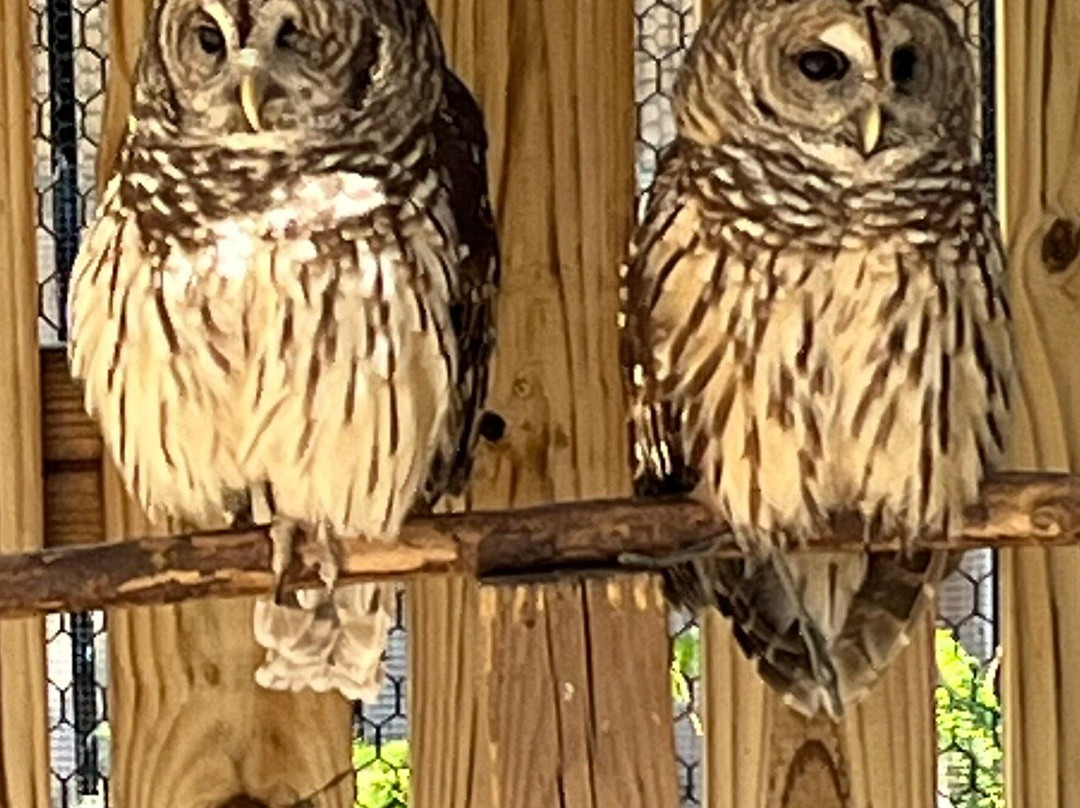 Moccasin Lake Nature Park-克利尔沃特必去景点
