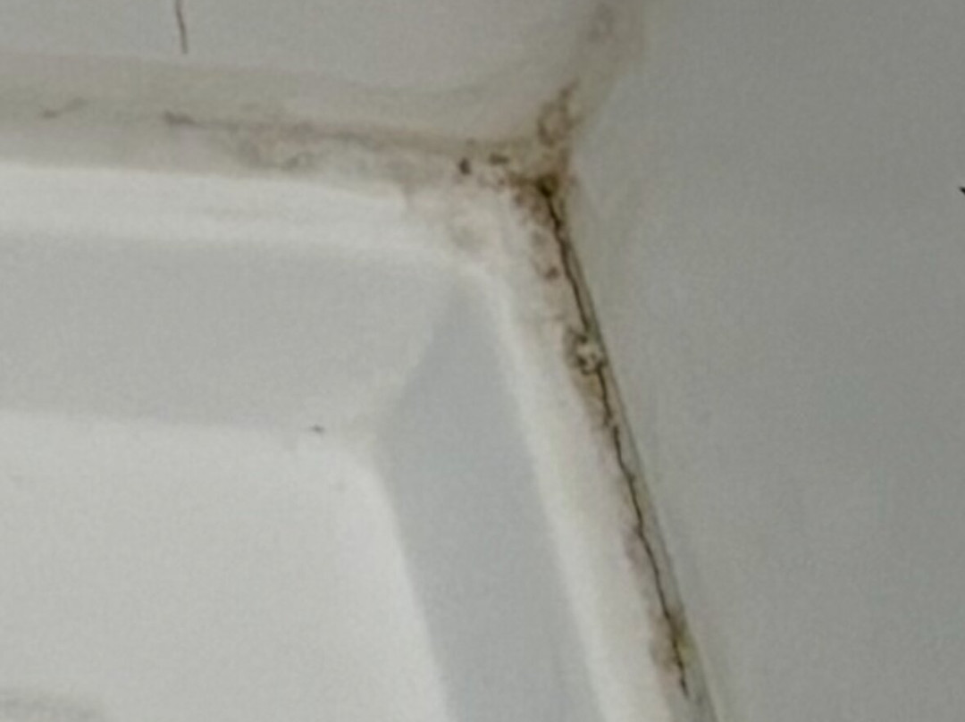 Holiday Inn Express & Suites Kinston By IHG主图