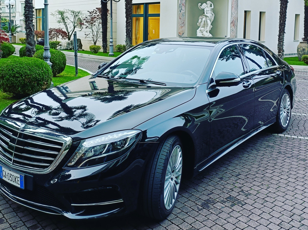 Luxury Transfer Services®Venezia-威尼斯必去景点
