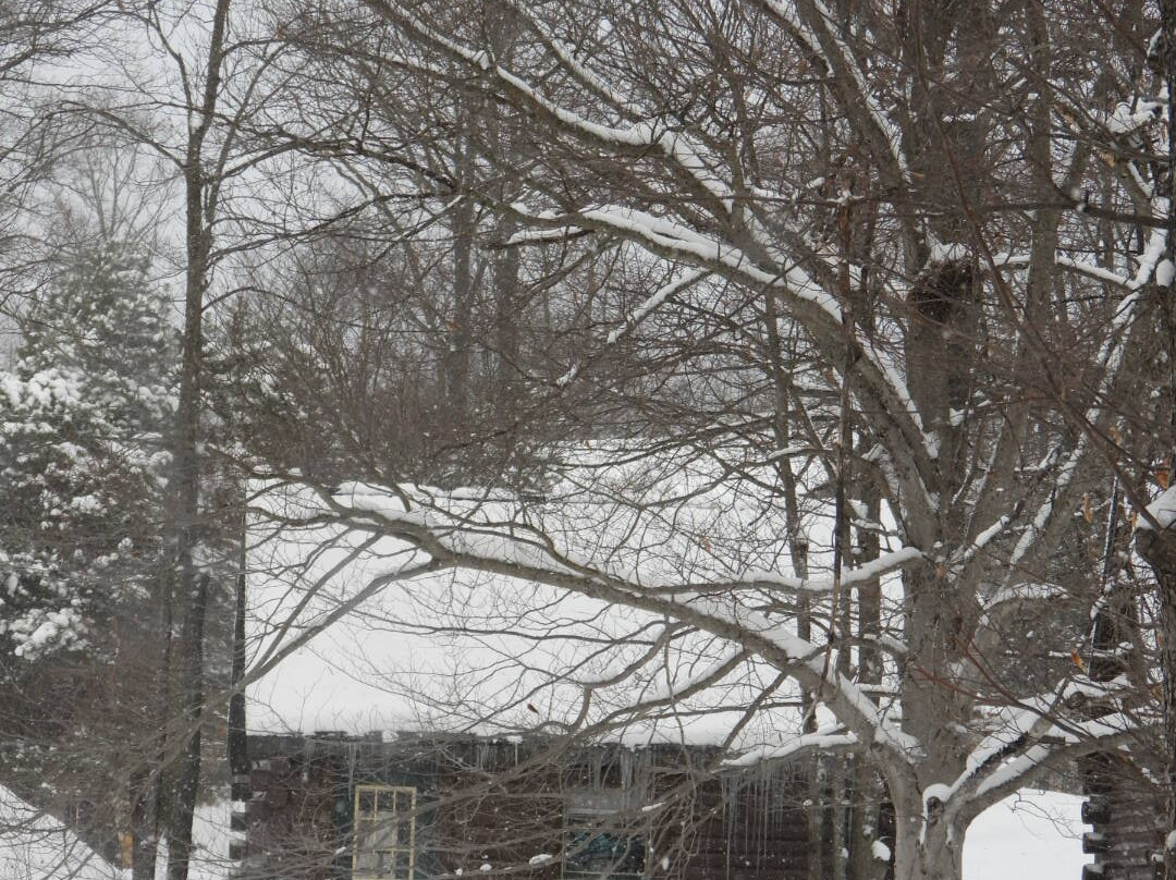 Beaver Creek Properties & Realty主图