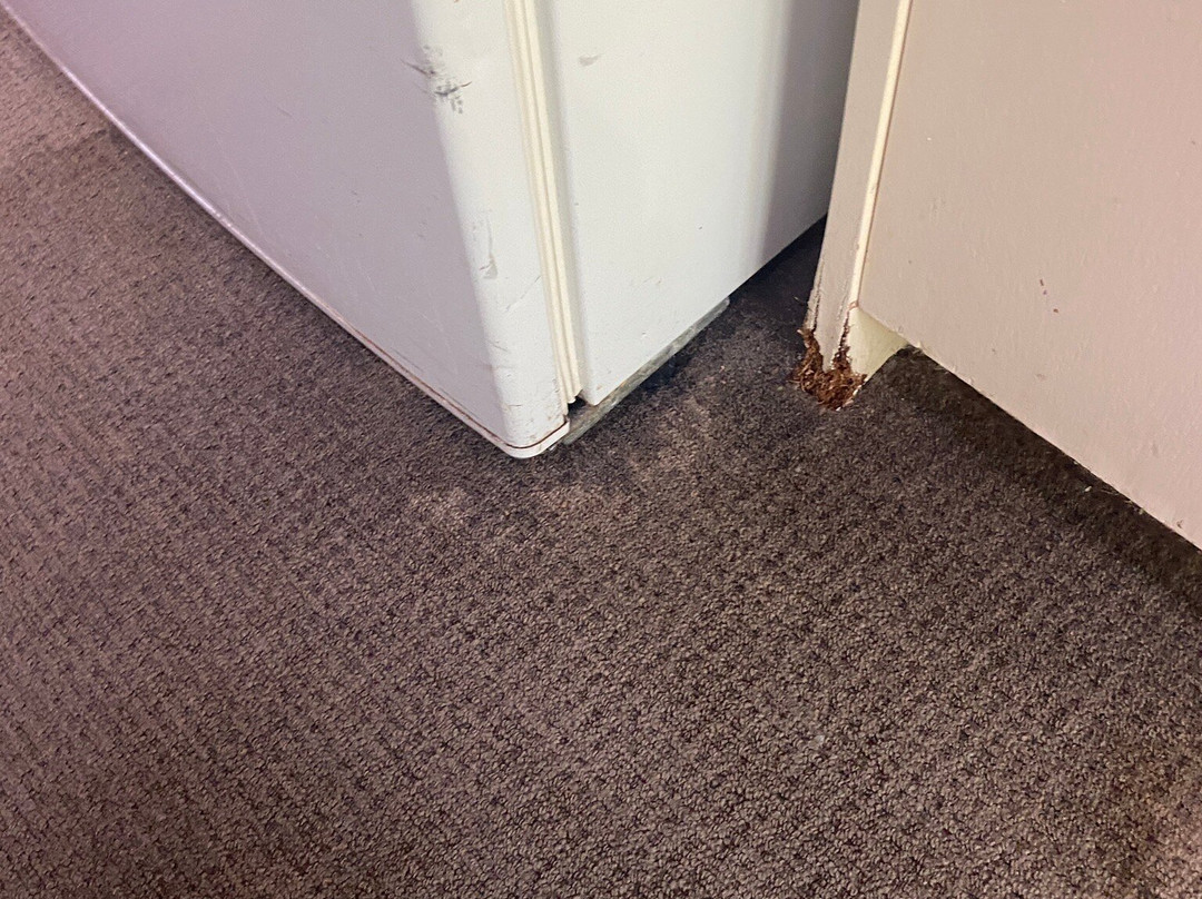 哈恩朵夫汽车旅馆主图