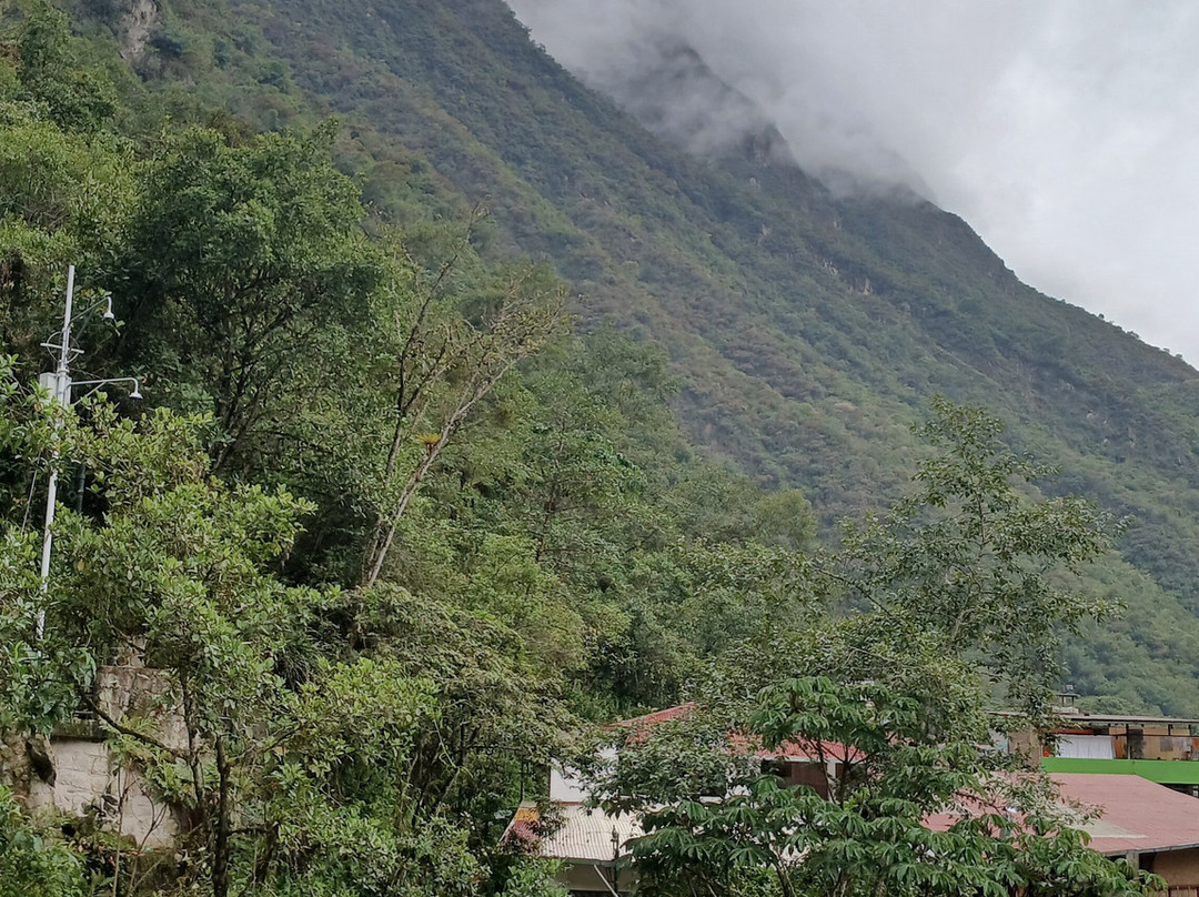 Hotel Tara Machupicchu主图