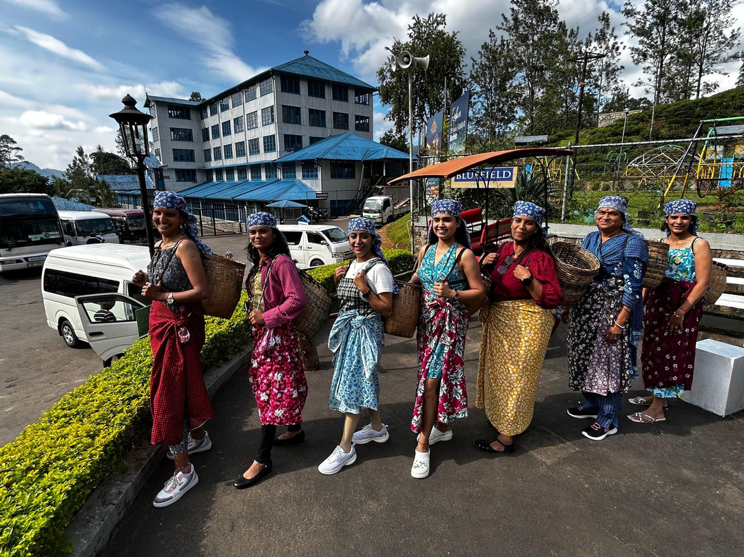 Umigo Lanka Tours景点图片