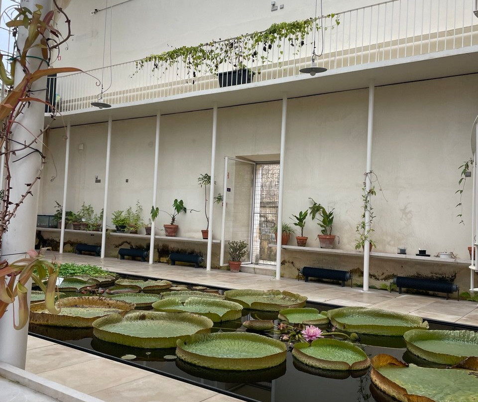 Jardim Botanico景点图片