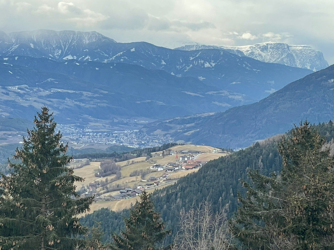 Parkhotel Holzerhof主图