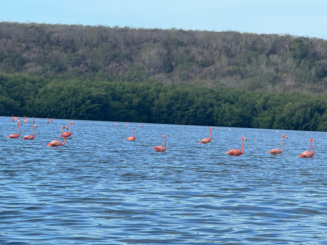 Guanaroca Lagoon景点图片