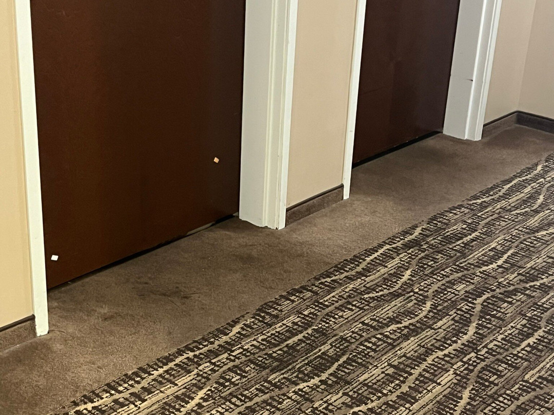 Comfort Suites Near Rainbow Springs主图