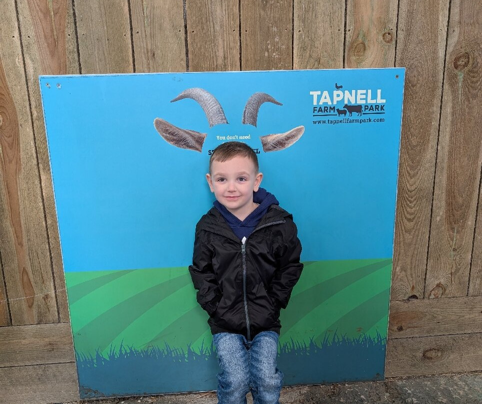 Tapnell Farm Park-雅茅斯必去景点
