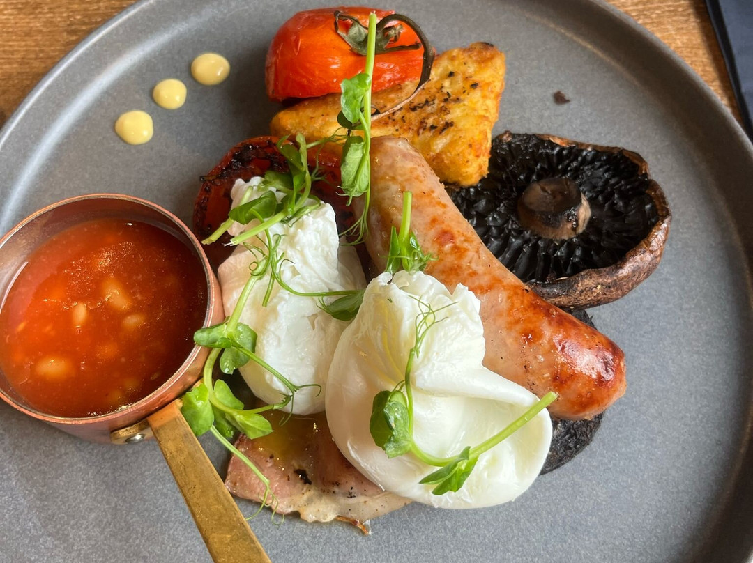 The Curious Fox主图