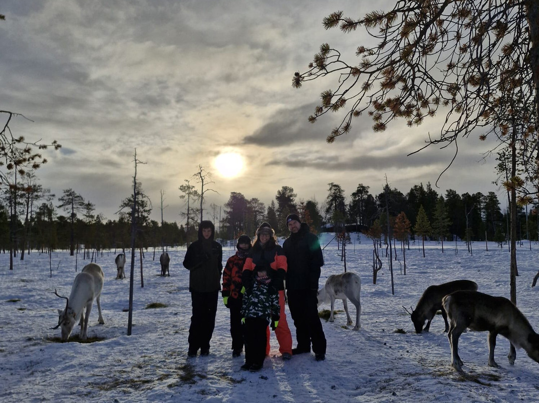 Reindeer Farm Renniina Inari-伊纳里必去景点