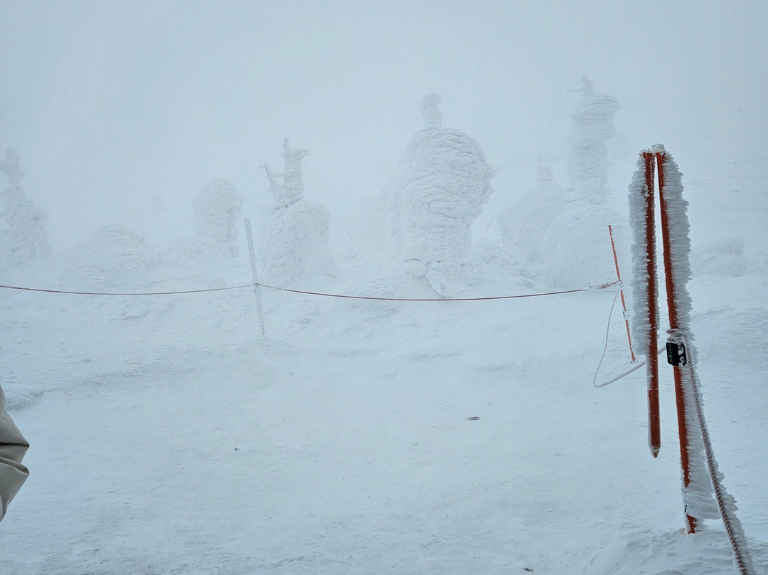 Yamagata Zao Onsen Ski Resort景点图片