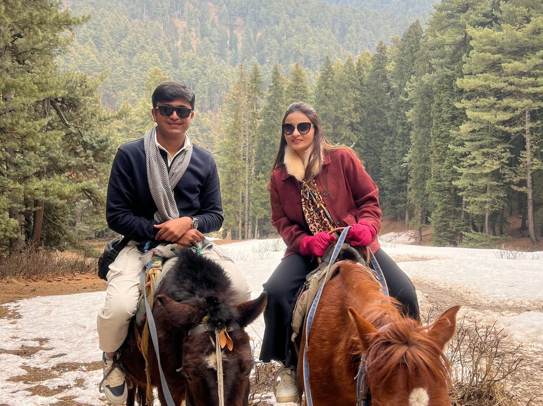 KASHMIR TAXI SERVICE BY SALMAAN-斯利那加必去景点