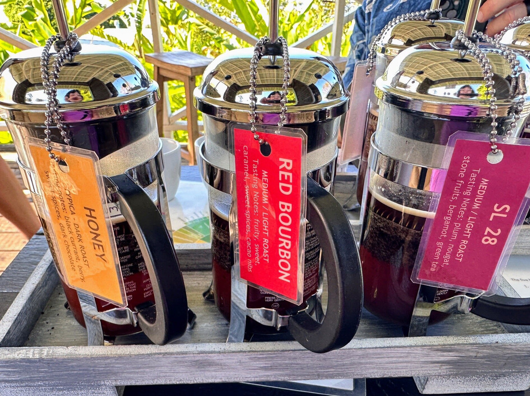 Hala Tree Coffee-库克船长必去景点