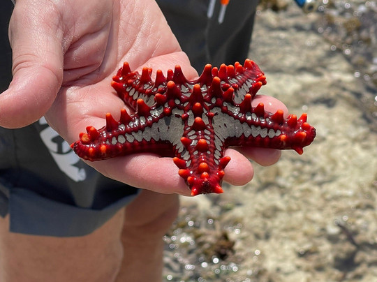 Abu Omar Safari Kenya-瓦塔木必去景点