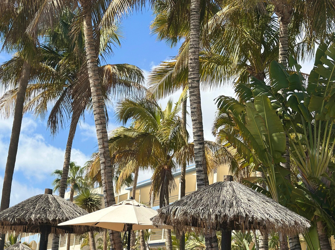 IFA Altamarena by Lopesan Hotels主图