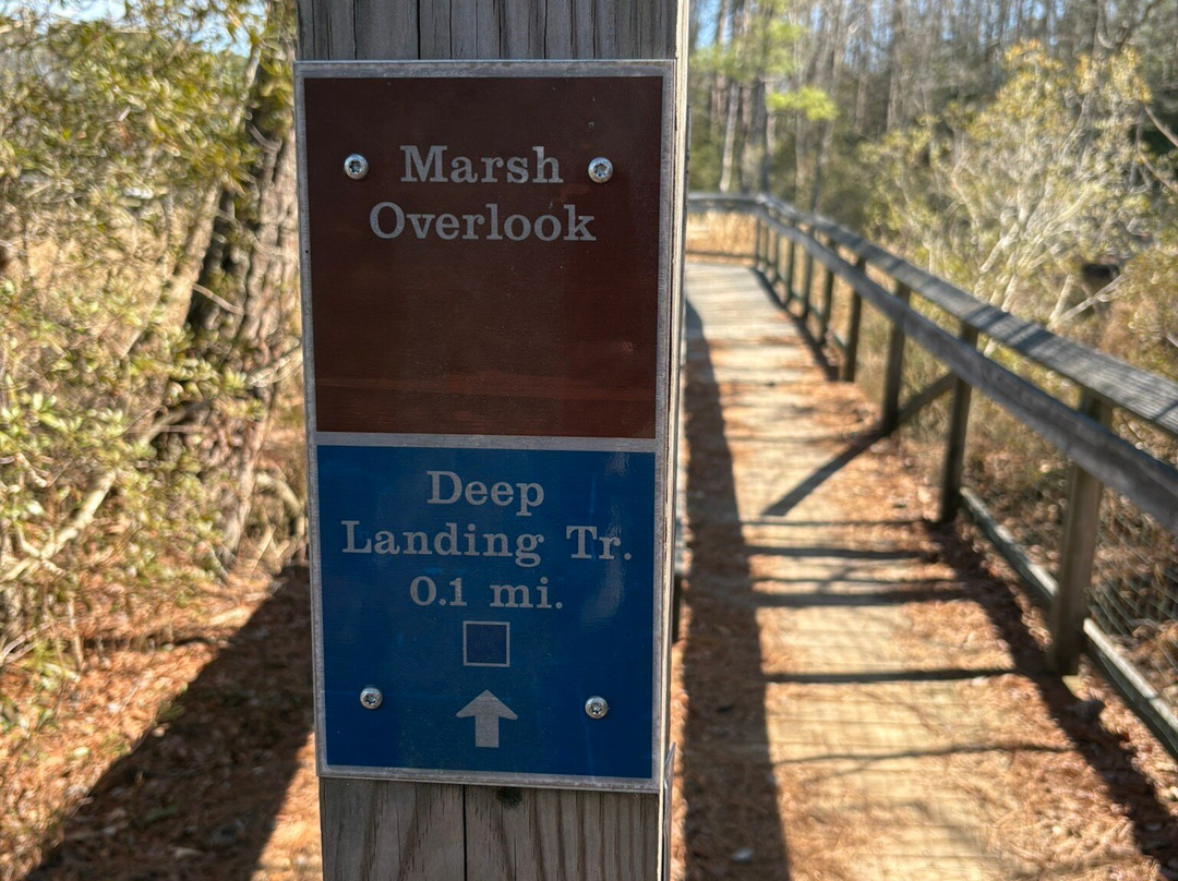 Bush Mill Stream Natural Area Preserve-Heathsville必去景点